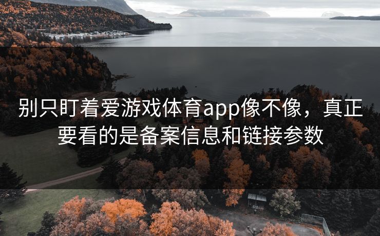 别只盯着爱游戏体育app像不像，真正要看的是备案信息和链接参数