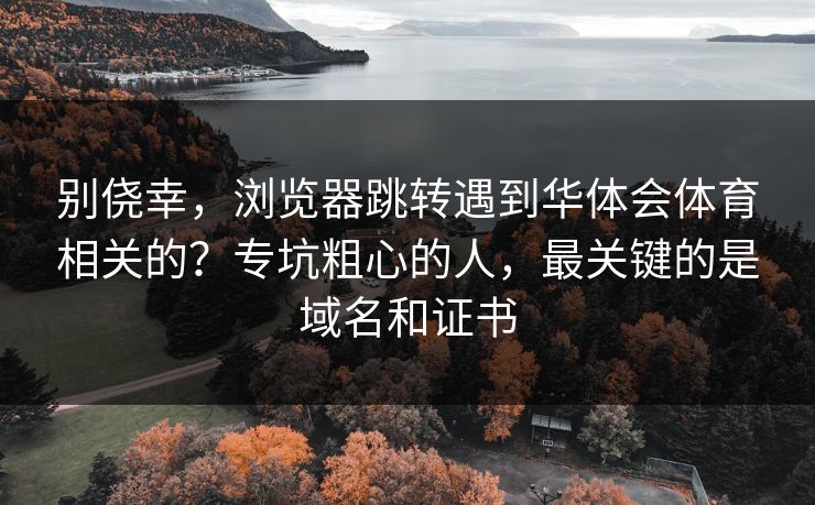 别侥幸，浏览器跳转遇到华体会体育相关的？专坑粗心的人，最关键的是域名和证书